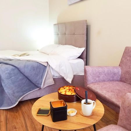 Dani Lux Belgrade Center Studio Apartment المظهر الخارجي الصورة