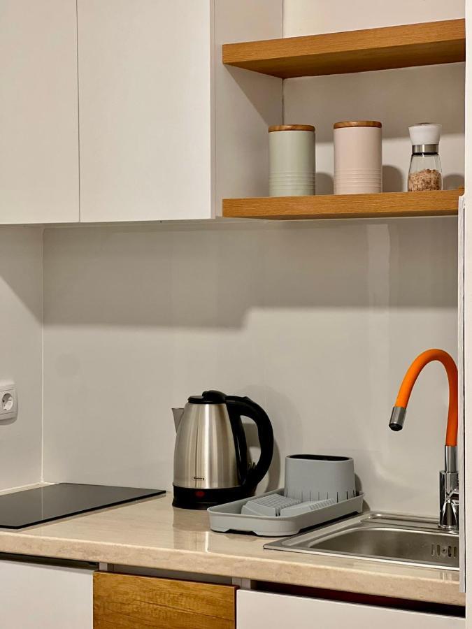 Dani Lux Belgrade Center Studio Apartment المظهر الخارجي الصورة